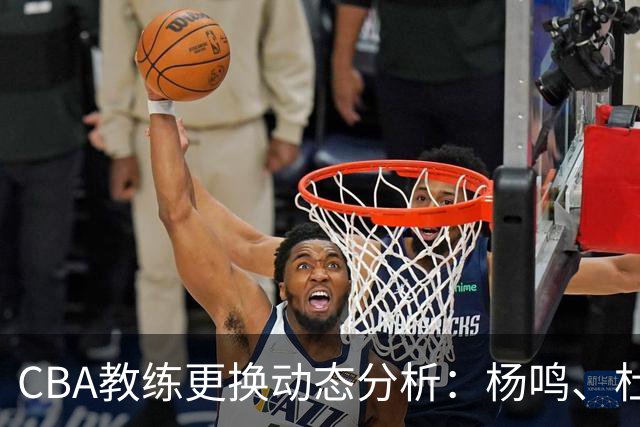 CBA教练更换动态分析：杨鸣、杜锋与杨学增的接任可能性